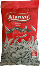 AY ÇEKİRDEĞİ